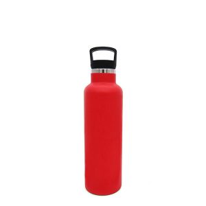 Stainless-Steel-Water-Bottles-With-Handle-Lid