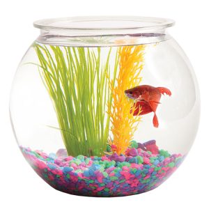 128oz Plastic Big Drinking Fish Bowl For 3 to 4 People