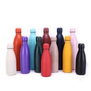 Stainless Steel Water Bottles