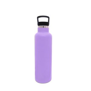 Stainless Steel Water Bottles With Handle and Lid