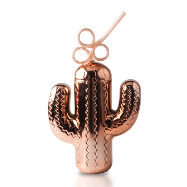 cactus cup with straw